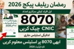 8070 Ramzan Relief Package 2026 by CM & PM - CNIC Check and Payment Status