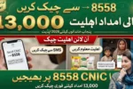 8558 Financial Assistance 2026 Check Rs13,000 Eligibility Status for Punjab Families