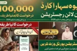How to Apply for CM Punjab Bewa Sahara Card Online Registration – 100,000 Assistance