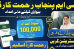 How to Apply for CM Punjab Rahmat Card for Widows via Online Portal